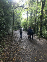 Jeudi 12 mars - Réserve naturelle de Monteverde