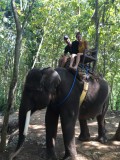 28 sept: Kusamba: promenade à dos d'éléphant 